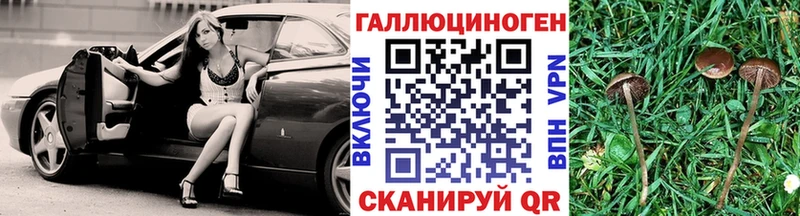 Купить где  Александровск  Галлюциногенные грибы мицелий 